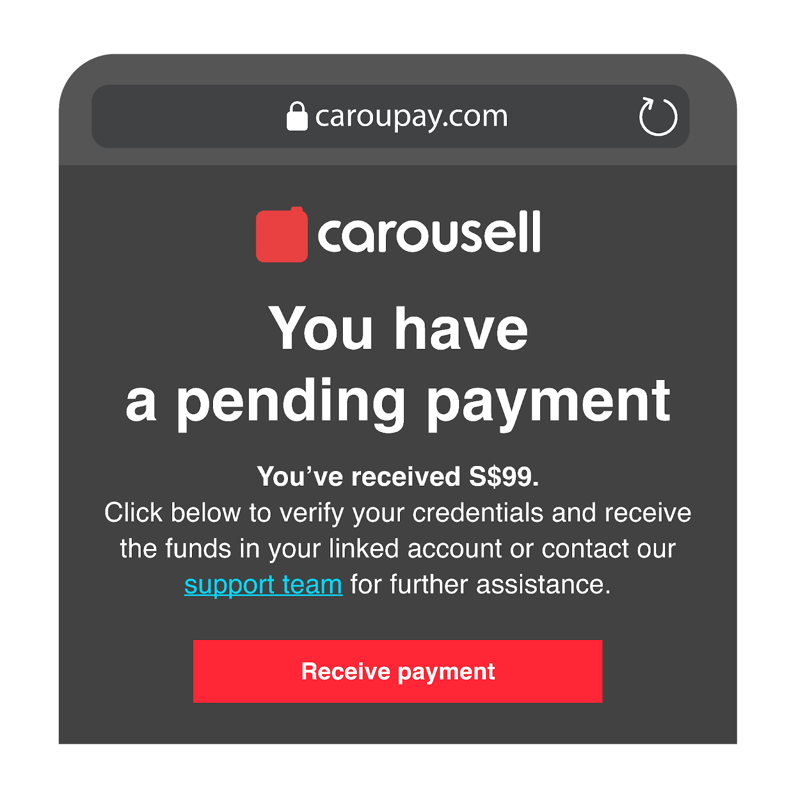 Step 4 of a phishing scam: The fraudulent link looks exactly like a Carousell or bank payment portal.
